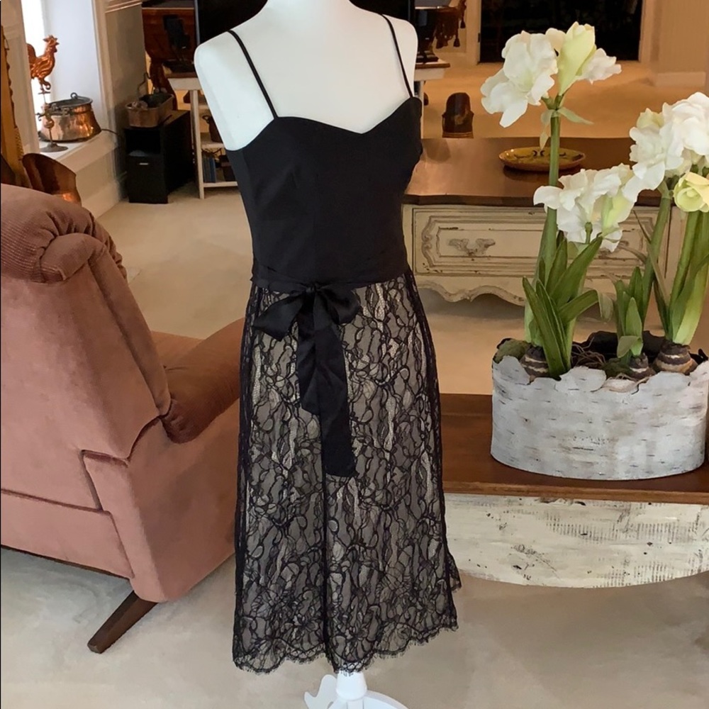 Ann Taylor Satin and Lace Cocktail Dress